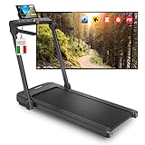 YM 3in1 Tapis Roulant Elettrico 14 km/h, Mod. RAFFAELLO, Salvaspazio, Spessore 14 cm, Bluetooth, App KINOMAP ZWIFT BITGYM FITHOME, 12 Programmi, Compatto, 2 HP (Picco 4,5 HP), Walking Pad, Workstation